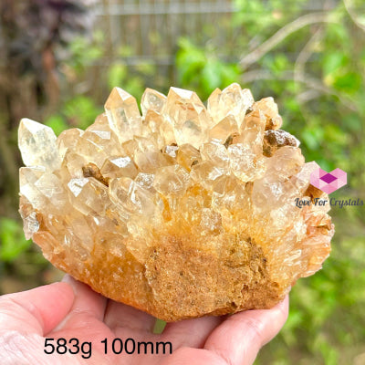 Golden Healer Quartz Cluster (Mineral Gallery) Brazil 583G 100Mm Quartz