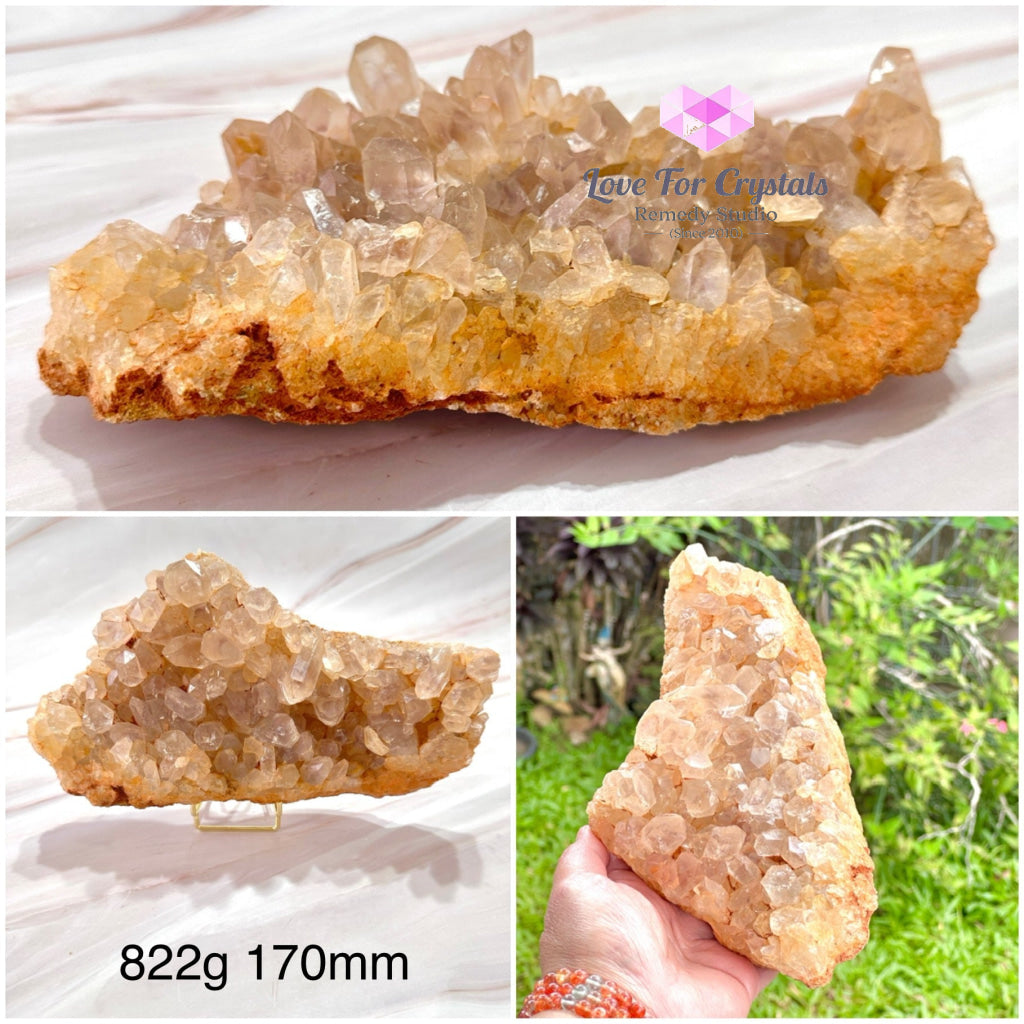 Golden Healer Quartz Cluster (Brazil) Collectors & Rare! Quartz