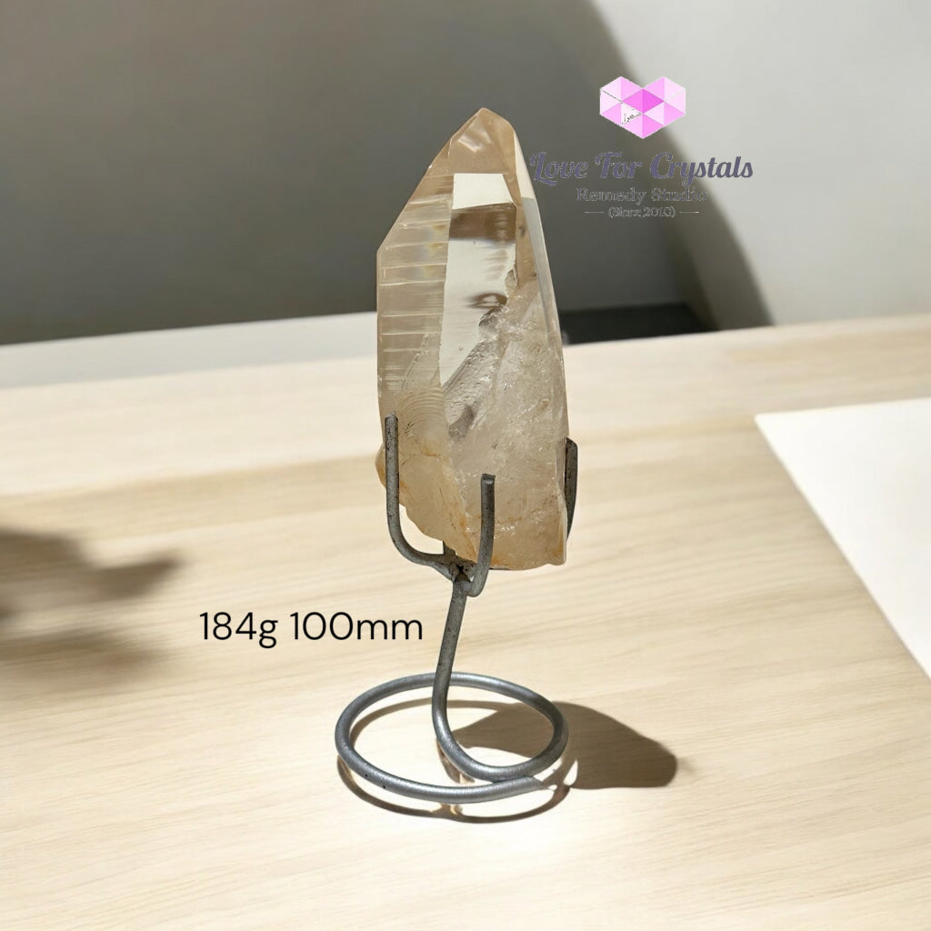Golden Lemurian Raw Points with Stand – Brazil Encoded Light Tool AAA Grade 184g 100mm Lemurian Seed
