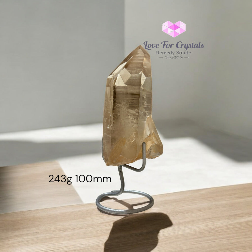 Golden Lemurian Raw Points with Stand – Brazil Encoded Light Tool AAA Grade 243g 100mm Lemurian Seed