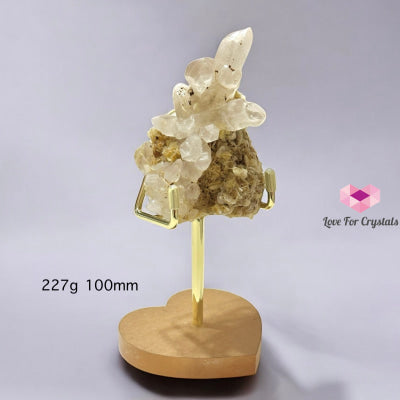 Golden Mica in Quartz Cluster with Stand (Brazil) 227g 100mm Crystals
