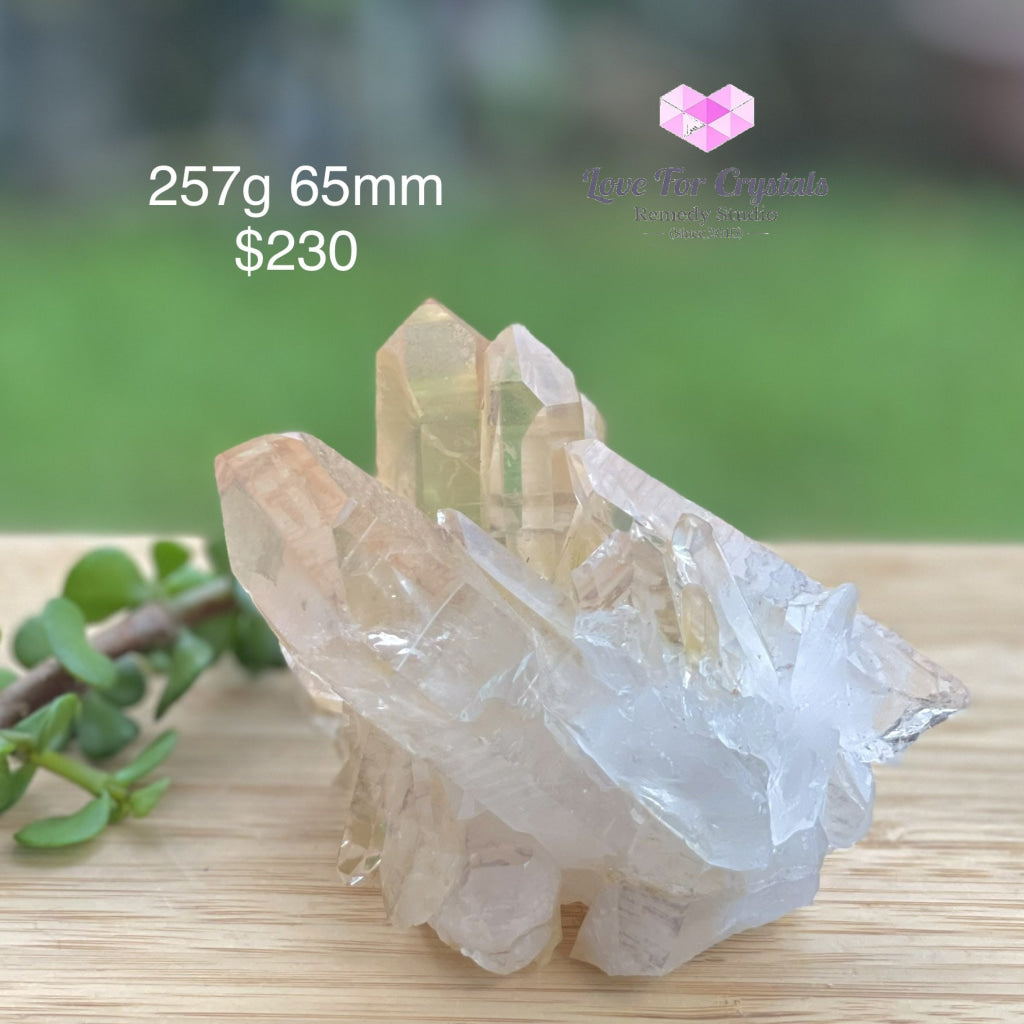 Golden Quartz Cluster With Hematite (Brazil) 257G 65Mm