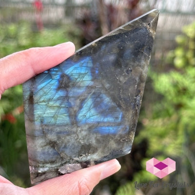 Labradorite Diamond (Rhomboid) With Stand Polished Crystals