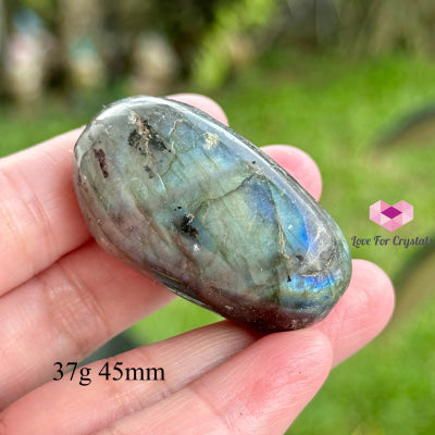 Labradorite Palm Stone (Madagascar) 37G 45Mm Crystal Points