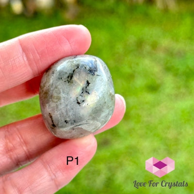 Labradorite Pebbles (Madagascar) Photo 1 Tumbled Stone Crystals