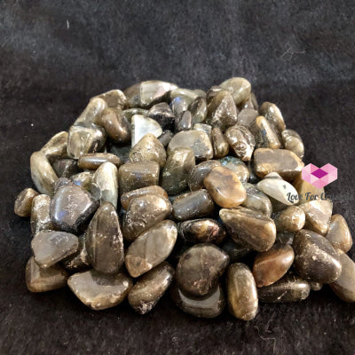 Labradorite Tumbled (Pack Of 4) Stones