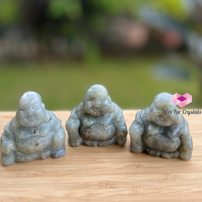 Laughing Buddha Crystal Carved 2 Labradorite (Per Piece) Carving