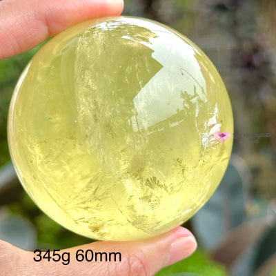 Citrine (Natural) Sphere Aaa (Brazil)With Wooden Stand 345G 60Mm Spheres Crystals