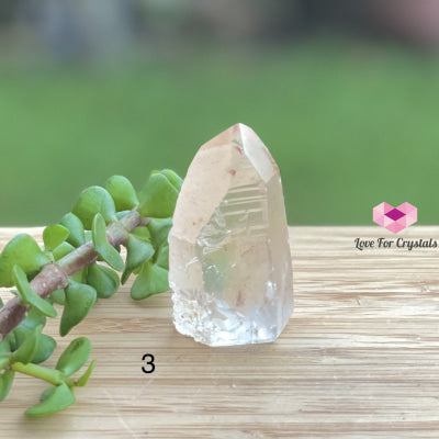 Lemurian Crystal (Semi-Polished Standing) Brazil Photo 3 Raw Stones