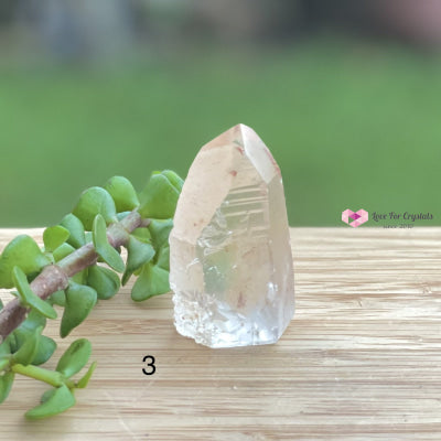 Lemurian Crystal (Semi-Polished Standing) Brazil Photo 3 Raw Stones