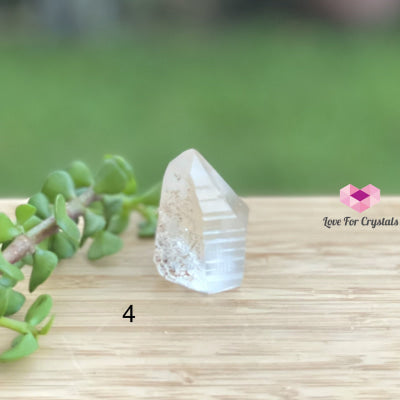 Lemurian Crystal (Semi-Polished Standing) Brazil Photo 4 Raw Stones