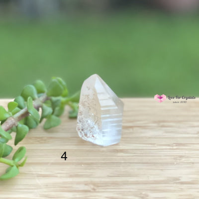 Lemurian Crystal (Semi-Polished Standing) Brazil Photo 4 Raw Stones