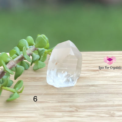 Lemurian Crystal (Semi-Polished Standing) Brazil Photo 6 Raw Stones