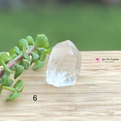 Lemurian Crystal (Semi-Polished Standing) Brazil Photo 6 Raw Stones