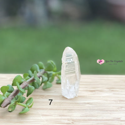 Lemurian Crystal (Semi-Polished Standing) Brazil Photo 7 Raw Stones