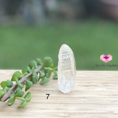 Lemurian Crystal (Semi-Polished Standing) Brazil Photo 7 Raw Stones