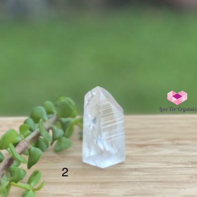 Lemurian Crystal (Semi-Polished Standing) Brazil Photo 2 Raw Stones