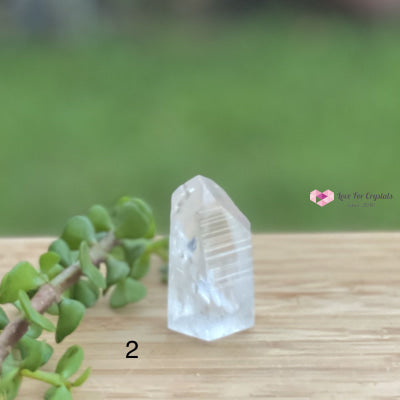Lemurian Crystal (Semi-Polished Standing) Brazil Photo 2 Raw Stones