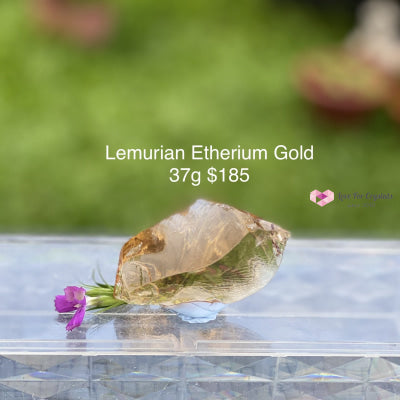 Lemurian Etherium Gold Andara Crystal (High Vortex Mount Shasta)