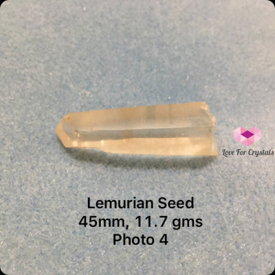 Lemurian (Pink Seed Golden) Brazil