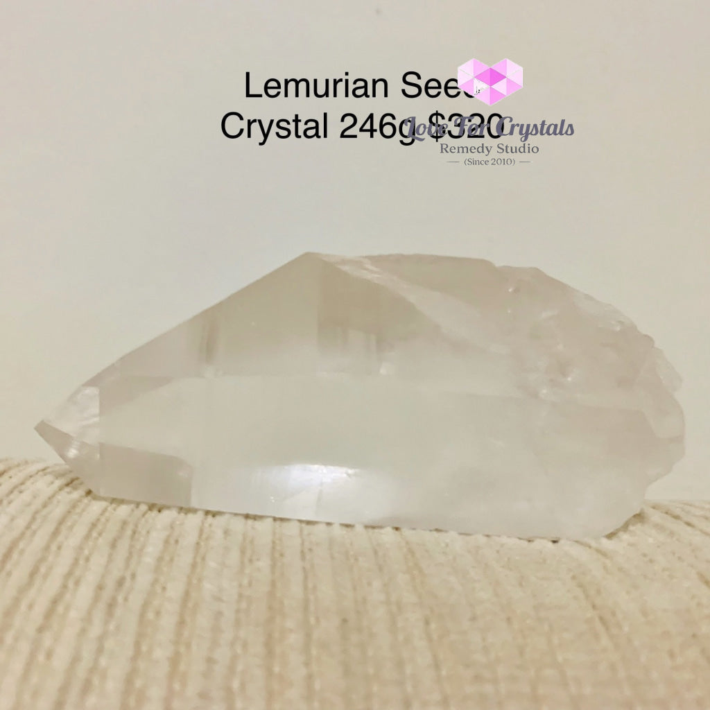 Lemurian Seed Crystal (Brazil)