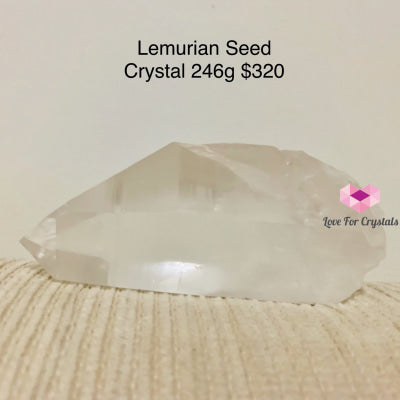 Lemurian Seed Crystal (Brazil)