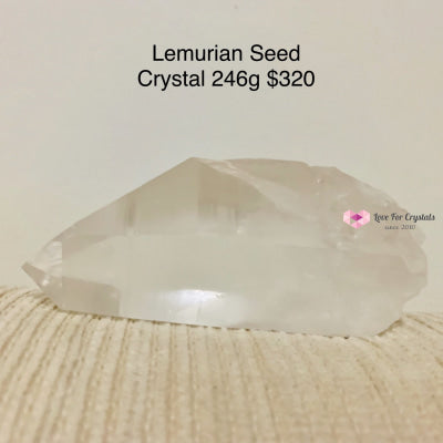 Lemurian Seed Crystal (Brazil)
