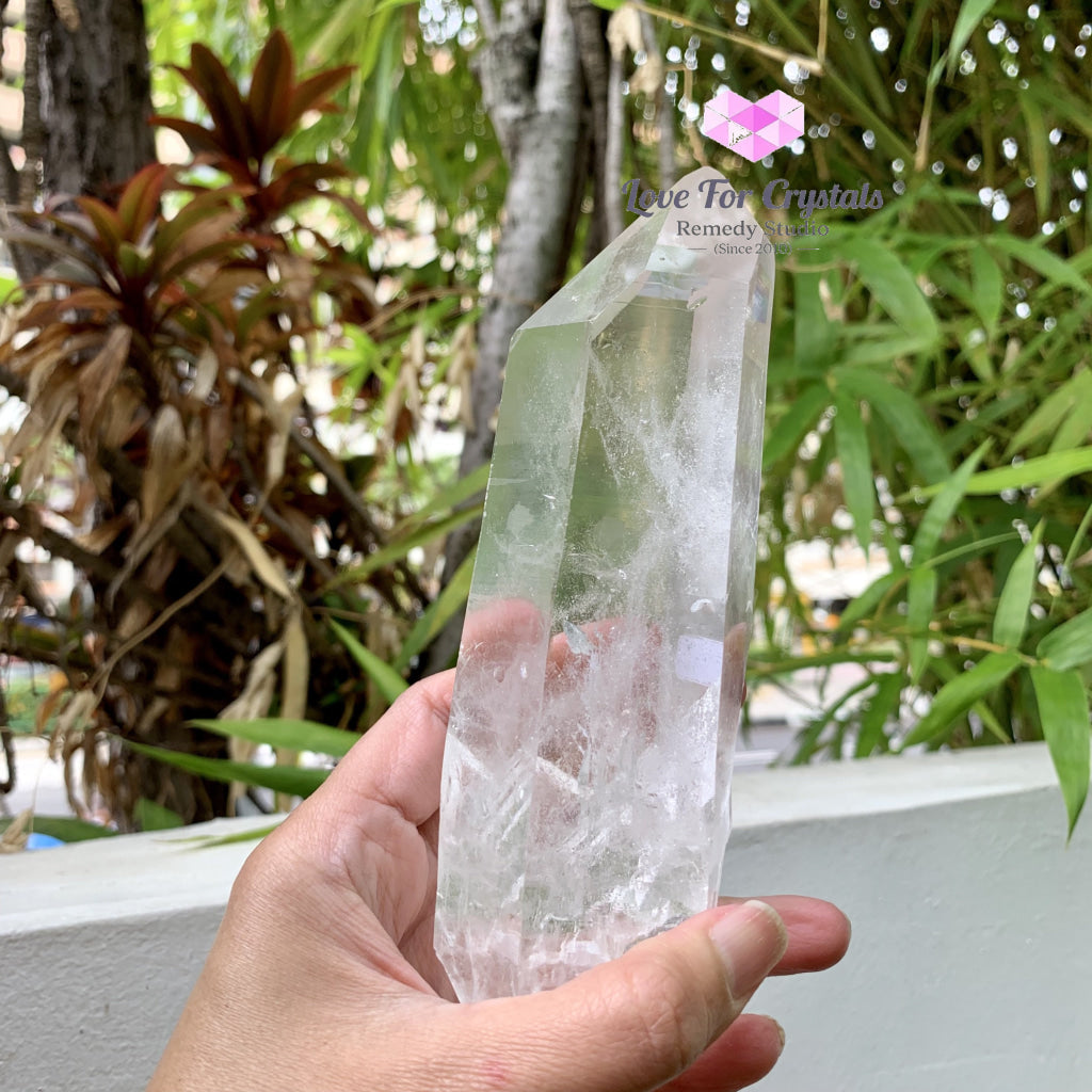 Lemurian Seed Crystal (Brazil)