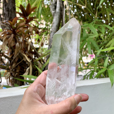Lemurian Seed Crystal (Brazil)