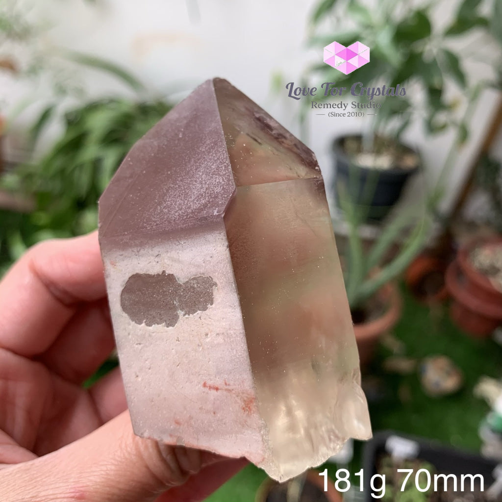 Lithium Citrine Points (Brazil) Natural Aaa (Very Rare) 181G 70Mm Point