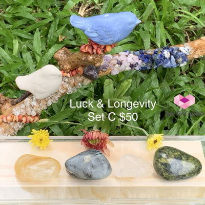 Luck And Longevity Crystal Set C (4 Stones) Sets
