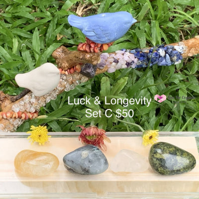 Luck And Longevity Crystal Set C (4 Stones) Sets