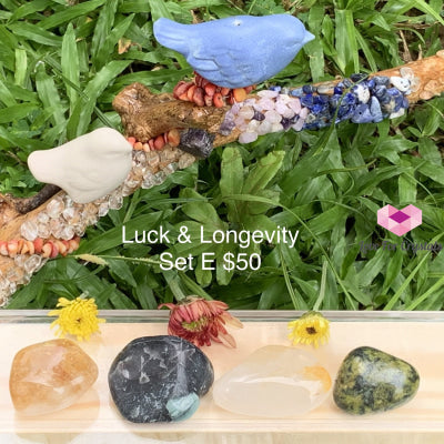 Luck And Longevity Crystal Set E (4 Stones) Sets