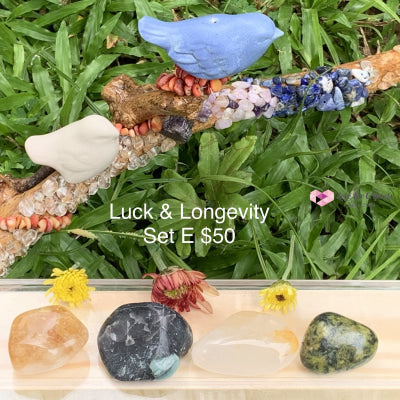 Luck And Longevity Crystal Set E (4 Stones) Sets
