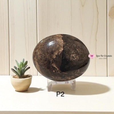 Madagascar Black Opal Palm Stone (45-55mm)Rare Opal