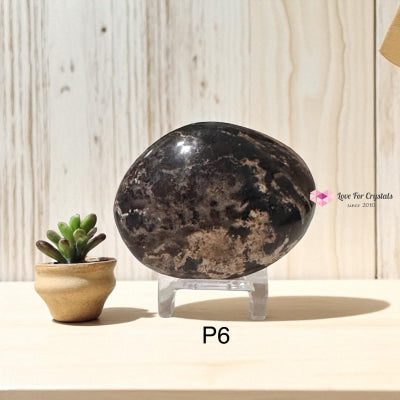 Madagascar Black Opal Palm Stone (45-55mm)Rare Opal