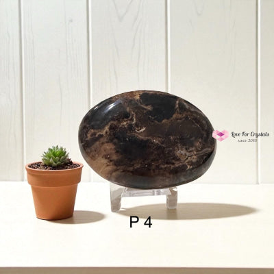 Madagascar Black Opal Palm Stone (45-55mm)Rare Opal