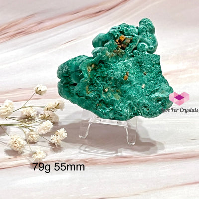 Malachite Raw With Stand (Congo) Crystals