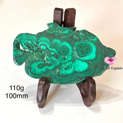 Malachite Slice With Wooden Stand (Congo) 110G 100Mm Polished Crystals