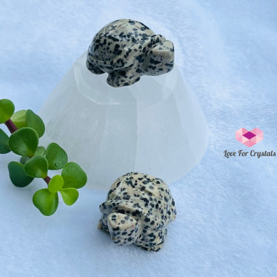 Mini Crystal Turtles/ Tortoise 1.5 (Per Piece) Dalmatian Jasper- Good Vibes Carved Crystals