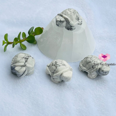 Mini Crystal Turtles/ Tortoise 1.5 (Per Piece) Howlite- Restful Sleep Carved Crystals