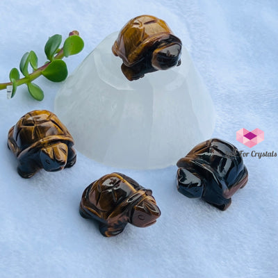Mini Crystal Turtles/ Tortoise 1.5 (Per Piece) Tigers Eye- Success Carved Crystals