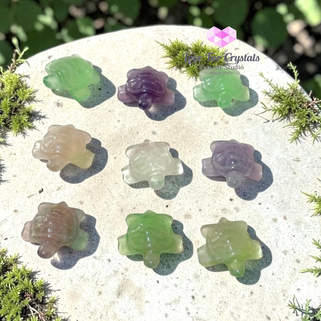 Mini Fluorite Tortoise 30mm (Harmony • Protection • Smooth Flow) - Fluorite