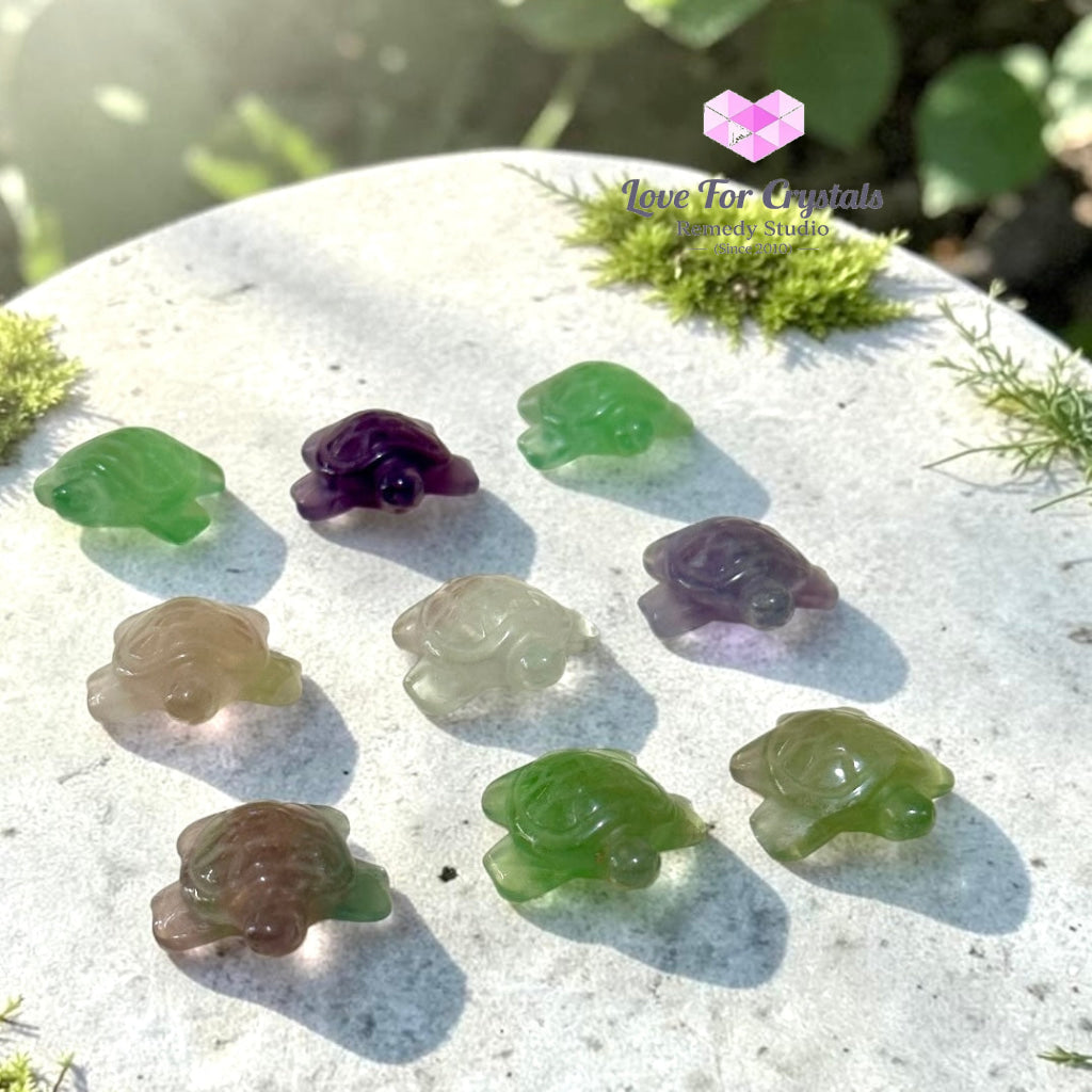 Mini Fluorite Tortoise 30mm (Harmony • Protection • Smooth Flow) - Fluorite