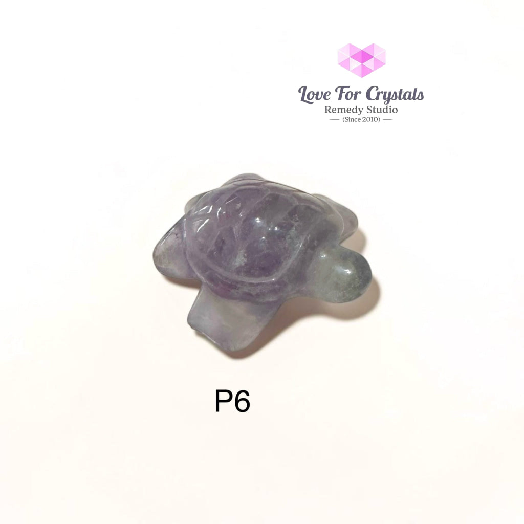 Mini Fluorite Tortoise 30mm (Harmony • Protection • Smooth Flow) - Photo 6 - Fluorite