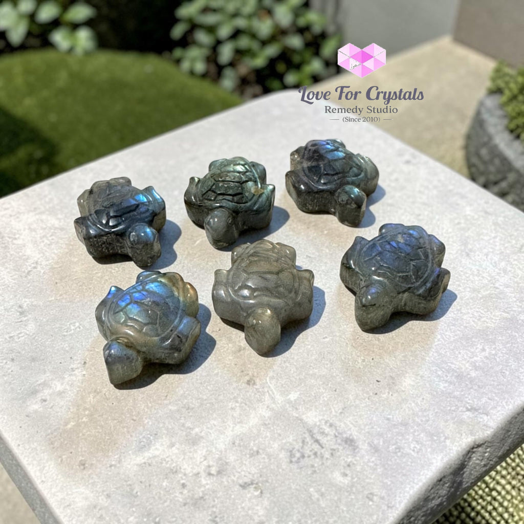 Mini Labradorite Tortoise 30mm (Protection • Luck • Steady Progress) - Labradorite