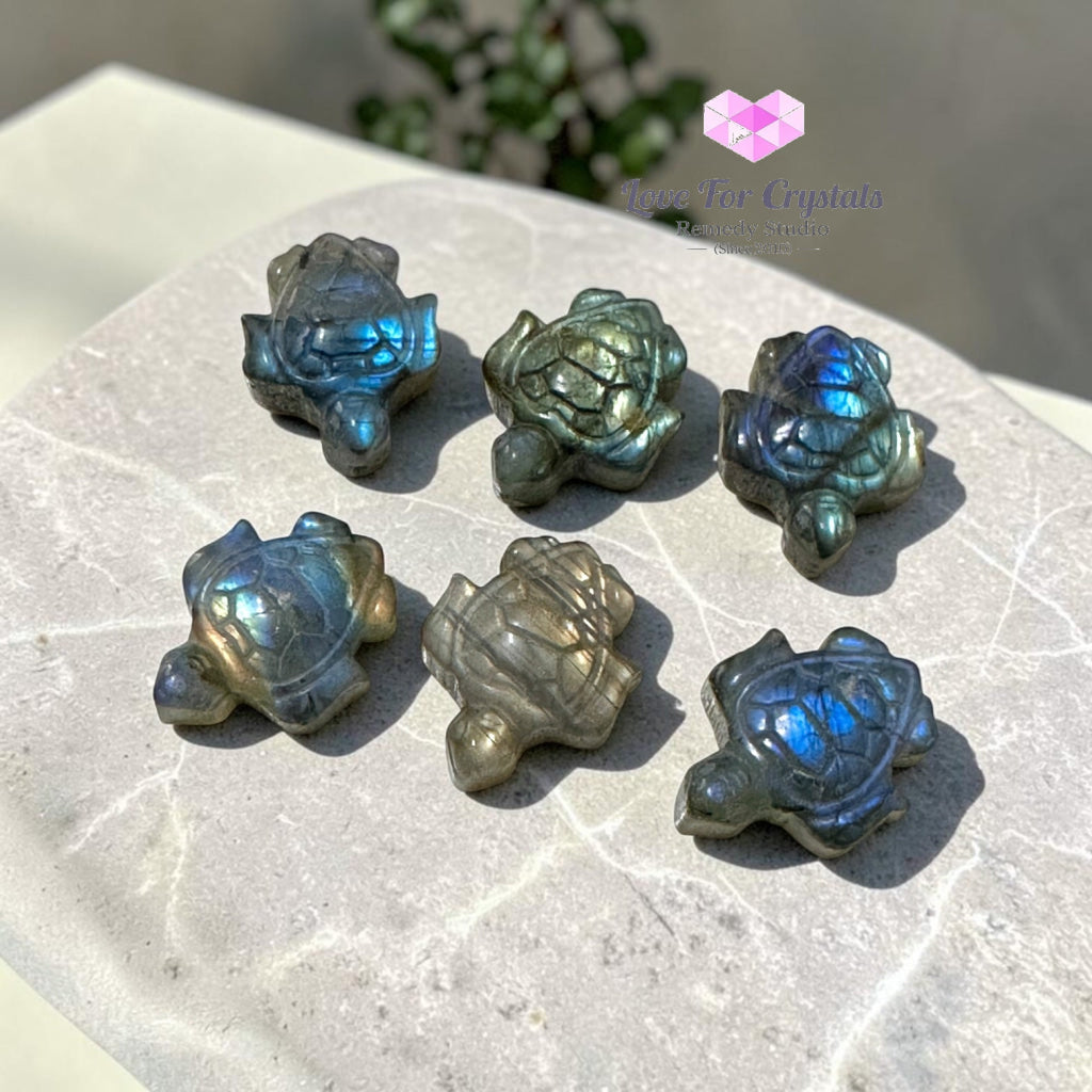 Mini Labradorite Tortoise 30mm (Protection • Luck • Steady Progress) - Labradorite