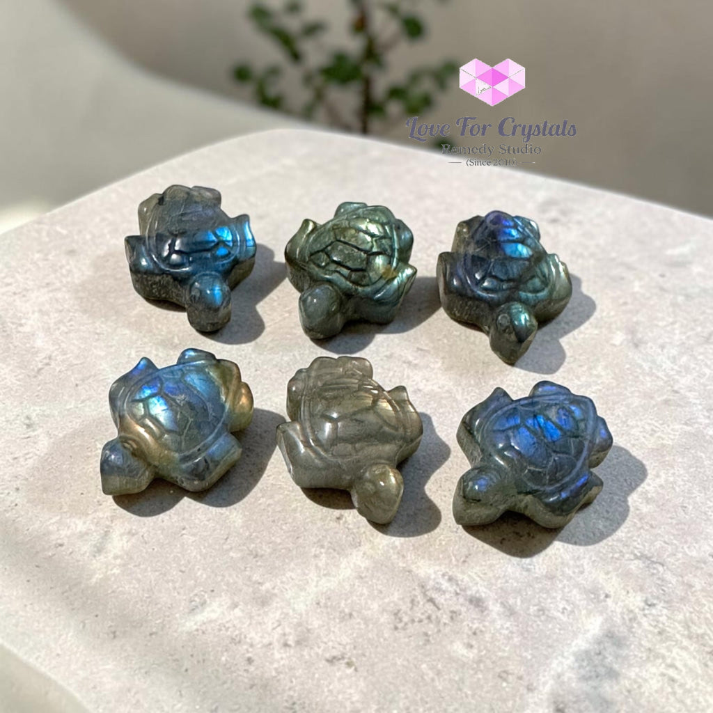 Mini Labradorite Tortoise 30mm (Protection • Luck • Steady Progress) - Labradorite