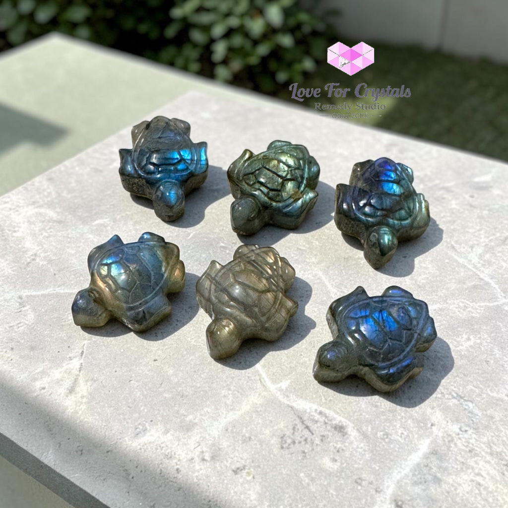 Mini Labradorite Tortoise 30mm (Protection • Luck • Steady Progress) - Labradorite
