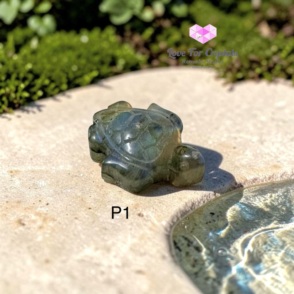 Mini Labradorite Tortoise 30mm (Protection • Luck • Steady Progress) - Photo 1 - Labradorite